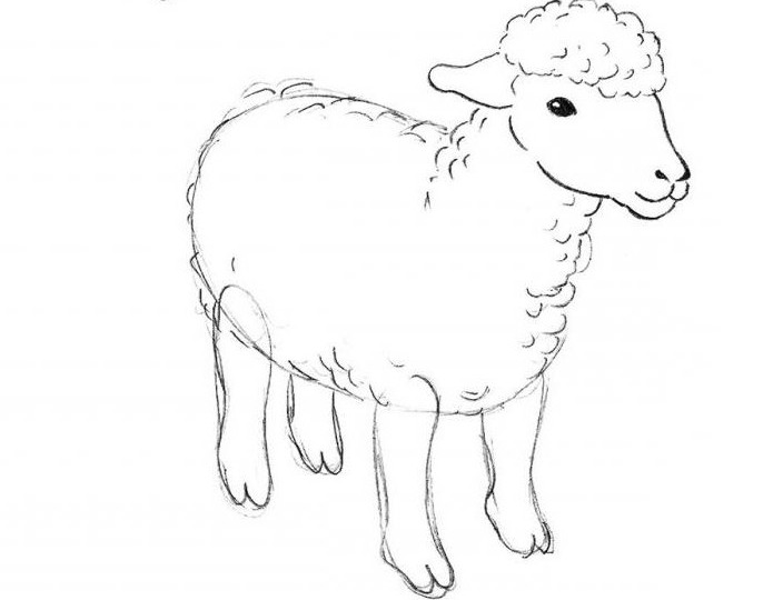 kako pripraviti svinčnik za ovce v stopnjah za začetnike otroke 5 6 let