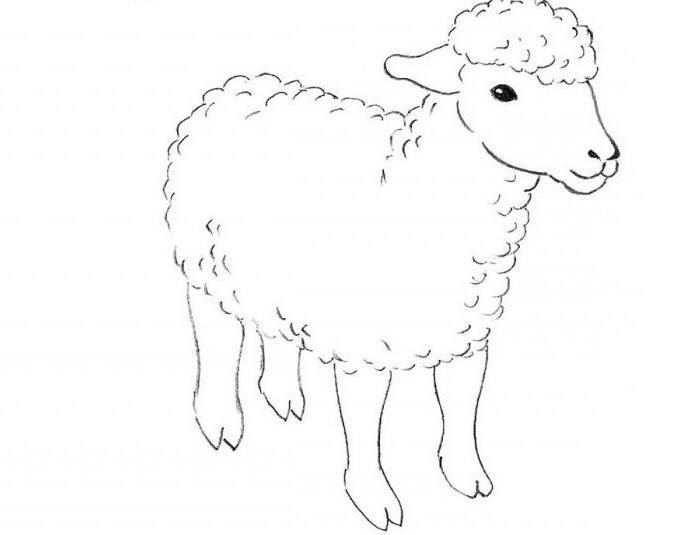 как да се направи овце молив на етапи за начинаещи деца 5 6 години