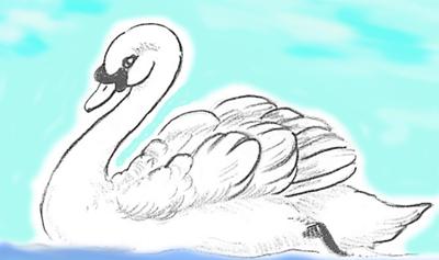 kako nacrtati labuda