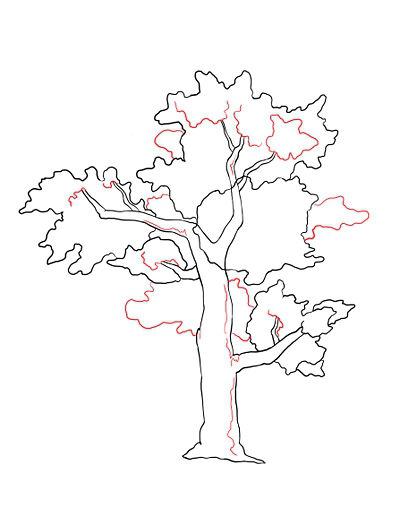 jak nakreslit strom s tužkou