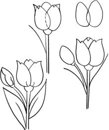 jak nakreslit tulipán