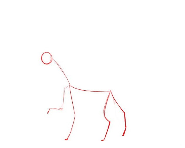 come disegnare un unicorno