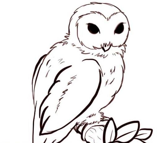 как да нарисувате сова
