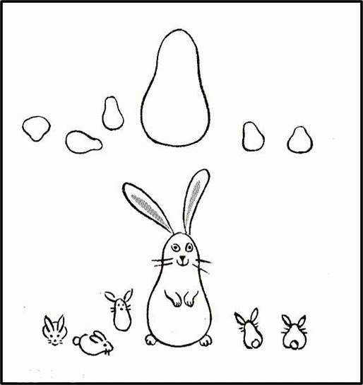 come disegnare animali