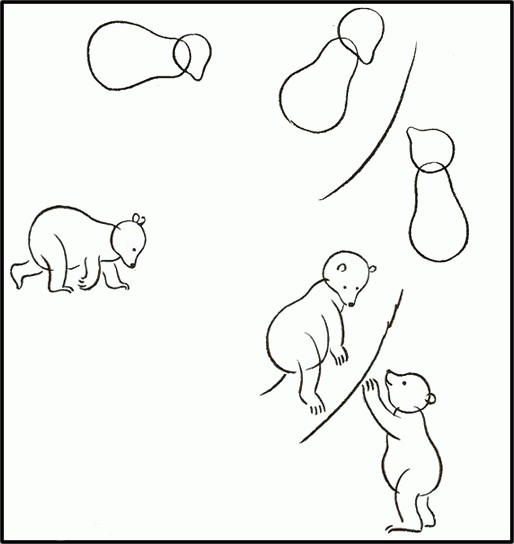 come disegnare gli animali per gradi