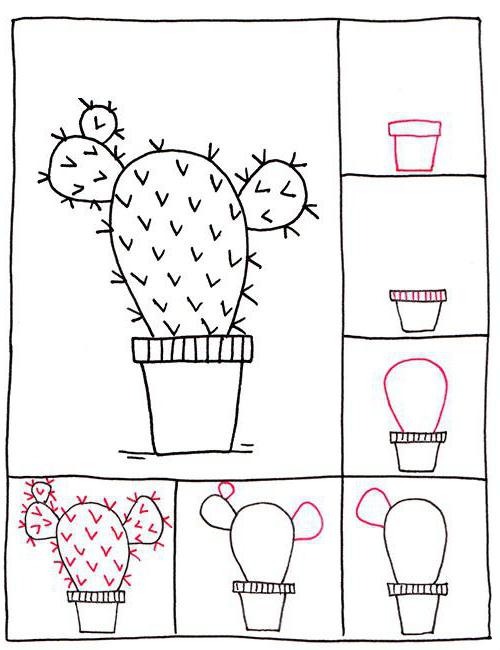 jak kreslit kaktusy