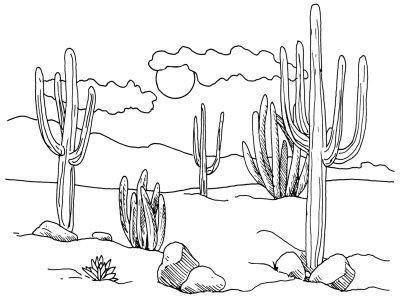 jak nakreslit údolí kaktusů