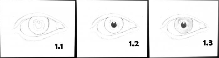 как да нарисувате очи с молив стъпка по стъпка