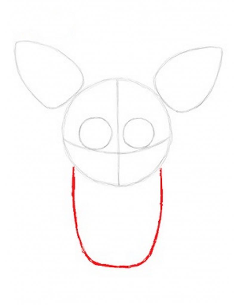 passo 1 disegnando foxy