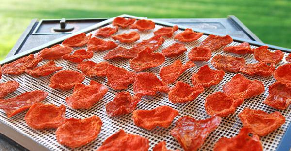 kako sušiti rajčice u električnoj sušilici