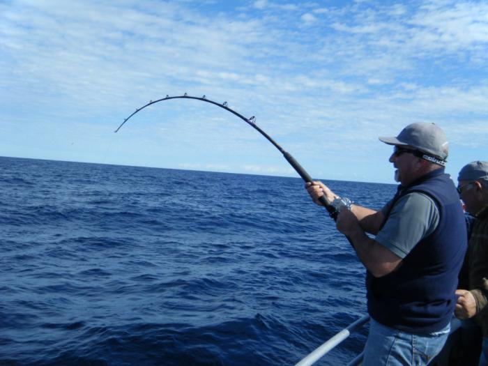 как да ловят риба по море