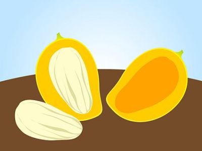 Jak wyhodować mango z kości