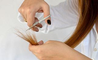 kako rastejo dolge lase preglede