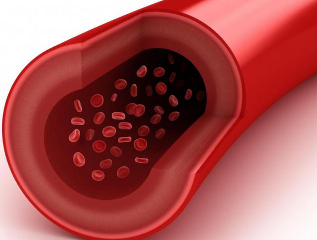 Увеличете нивото на тромбоцитите в кръвта