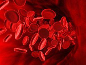 zvýšení hemoglobinu u dětí