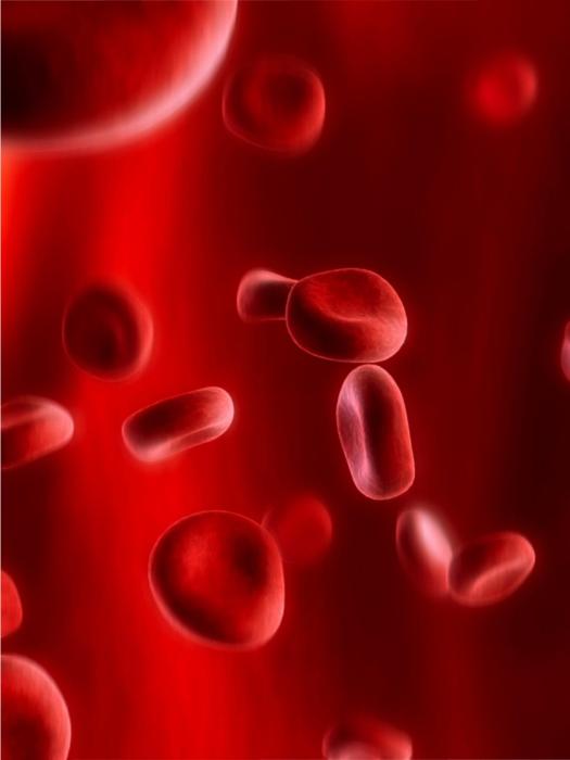 как да увеличи хемоглобина в кръвта