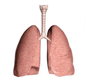 sposobnost človeških pljuč