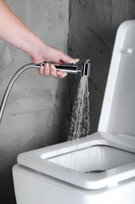 servizi igienici con funzione bidet con doccia igienica
