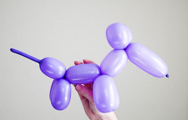 balónkový pes