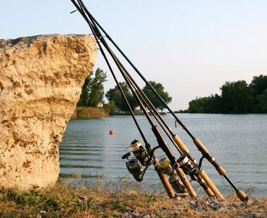 Šipke za ribolov
