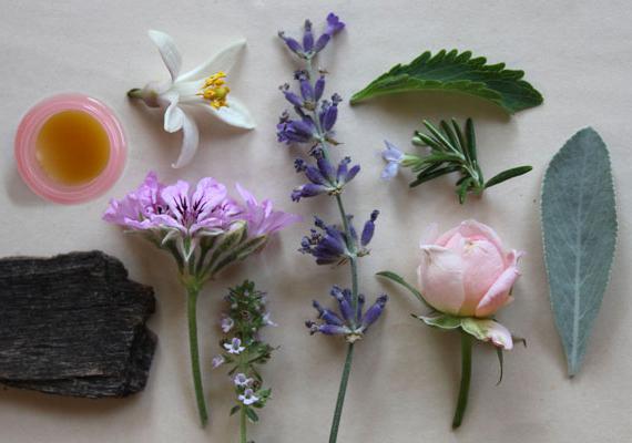 kako narediti parfum cvetja