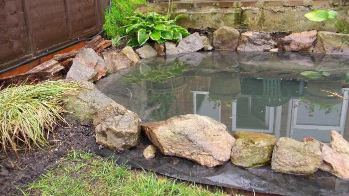 ribnik na vrtu z lastnimi rokami