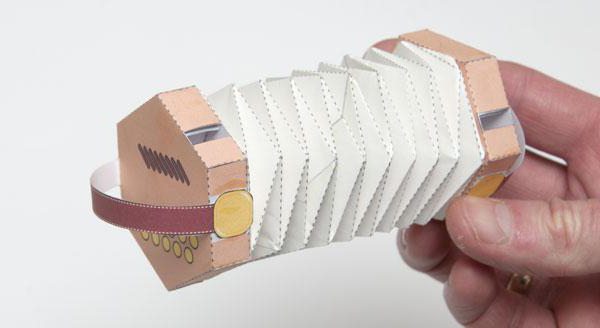 как да направите акордеон от хартия