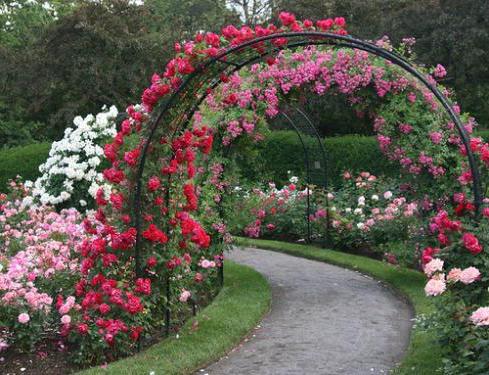 Arco nel giardino e la foto del giardino