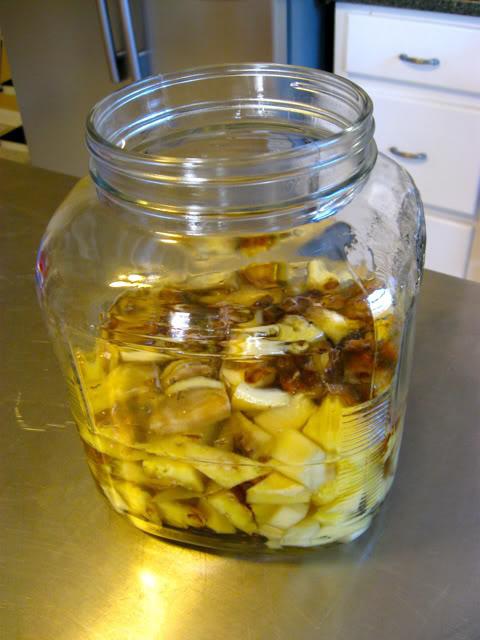 Come fare l'aceto di sidro di mele a casa