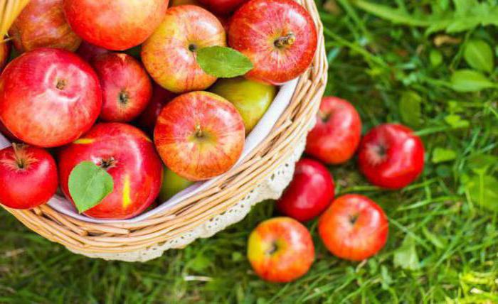 przepis na kompot jabłkowy