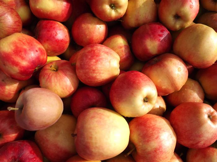 Braga na receptu jabolk