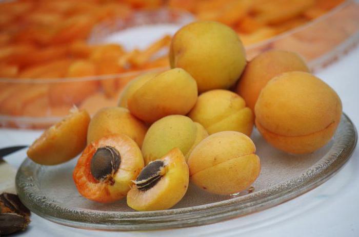 jak dělat sušené meruňky doma