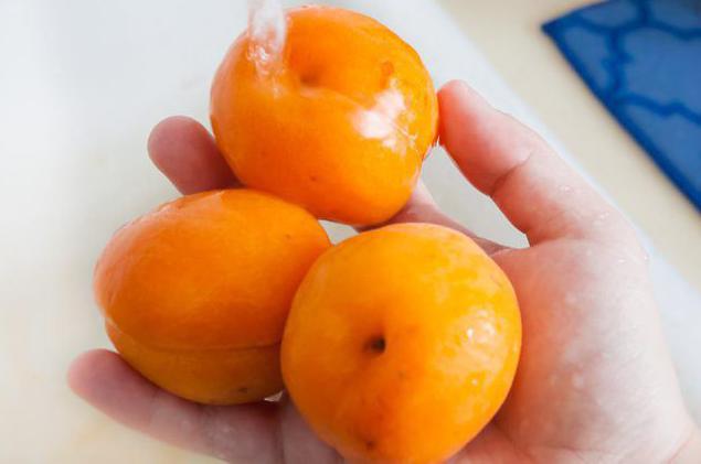 domácí sušené meruňky recept