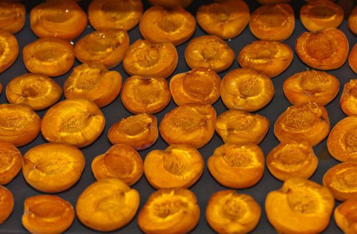 sušené meruňky doma recept v sušičce