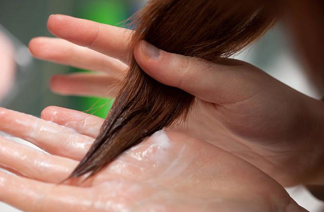 kako narediti lase poslušne