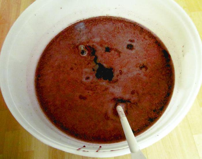 Fermentirani džem kako praviti vino