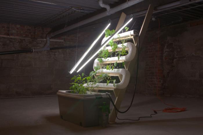 hydroponické instalace DIY fotografie