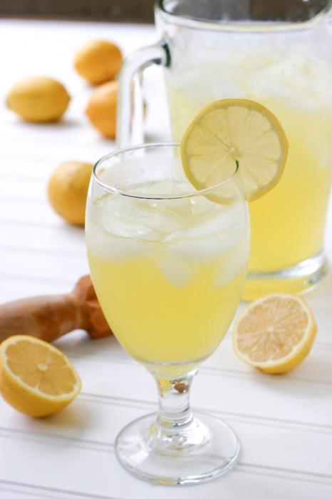 come fare limonata fatta in casa