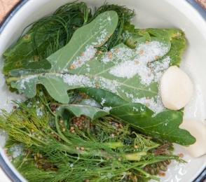 как да се направи рецепта за солени краставици
