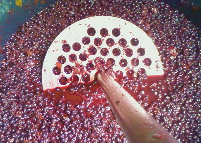 jak vyrobit víno z hroznů