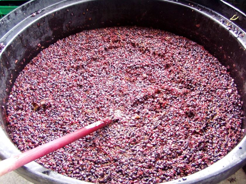 jak vyrobit víno kvasnice