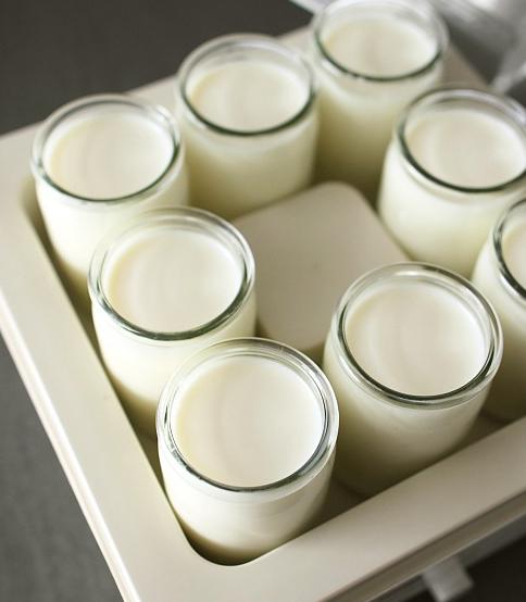kako narediti jogurt v izdelovalcu jogurta