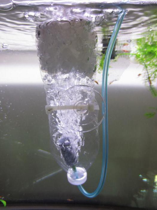 Kako narediti zunanji filter za akvarij to storite sami