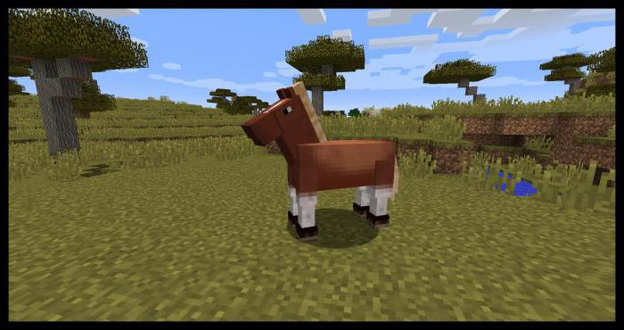 Kako vgraditi konja v Minecraft