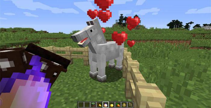 andare a cavallo a Minecraft 1 10