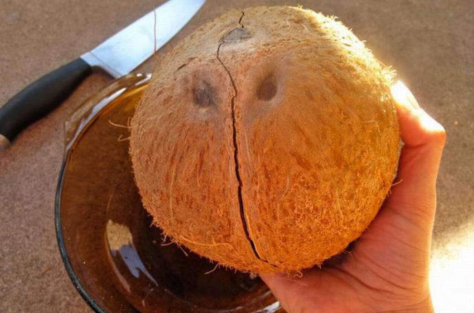 Jak otworzyć kokos w domu