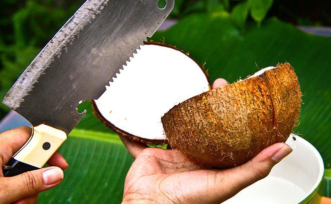 jak otevřít kokosový ořech