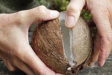 jak otevřít kokos bez mléka