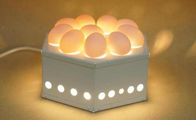 Ovoskopirovaniya kuřecí vejce denně fotografie