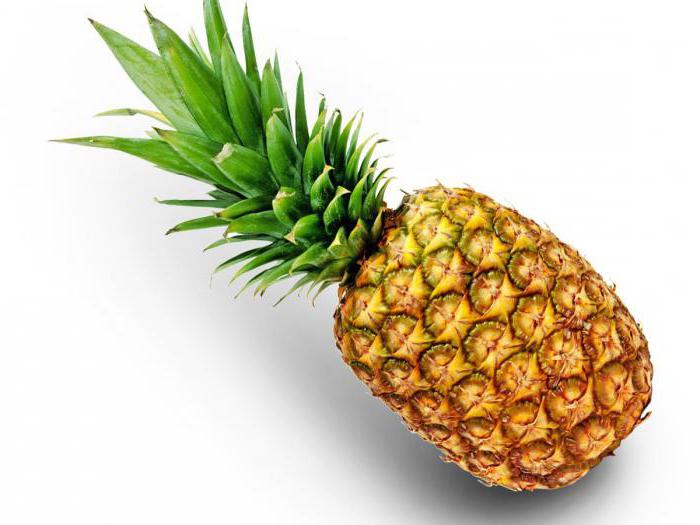 kako posaditi ananas doma